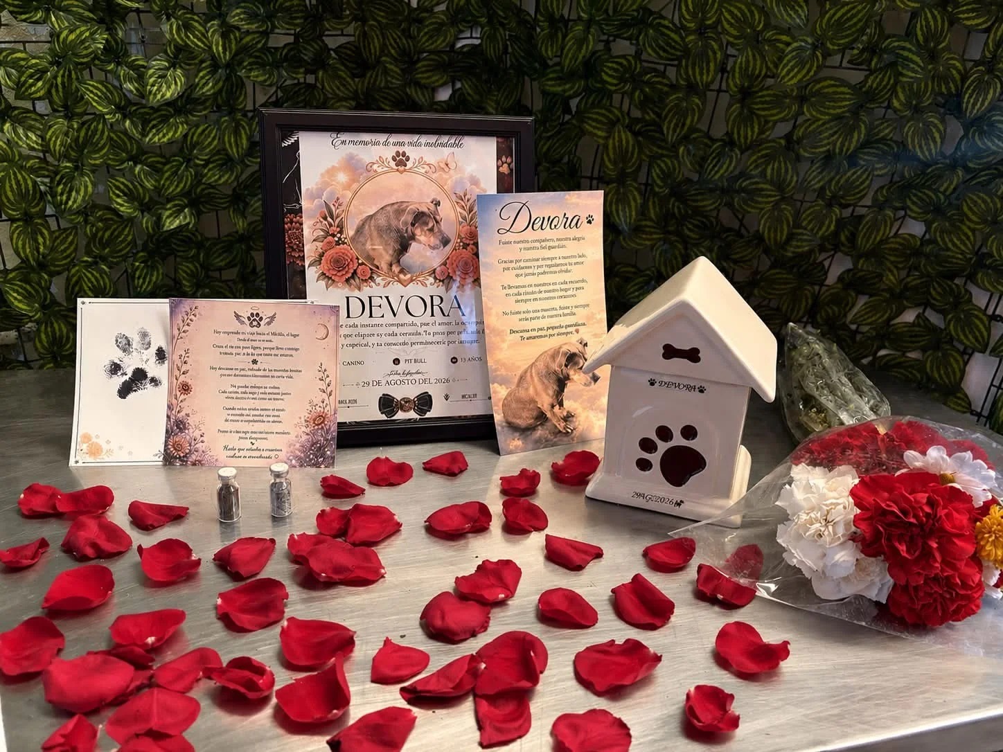 Servicio funerario de mascota Devora realizado por Mictlan PET