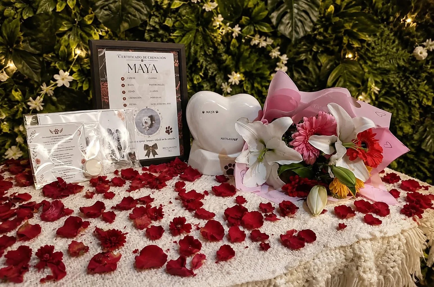 Servicio funerario de mascota Maya realizado por Mictlan PET